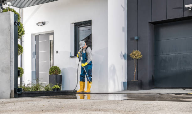 Best Gutter Cleaning  in Prestonsburg, KY